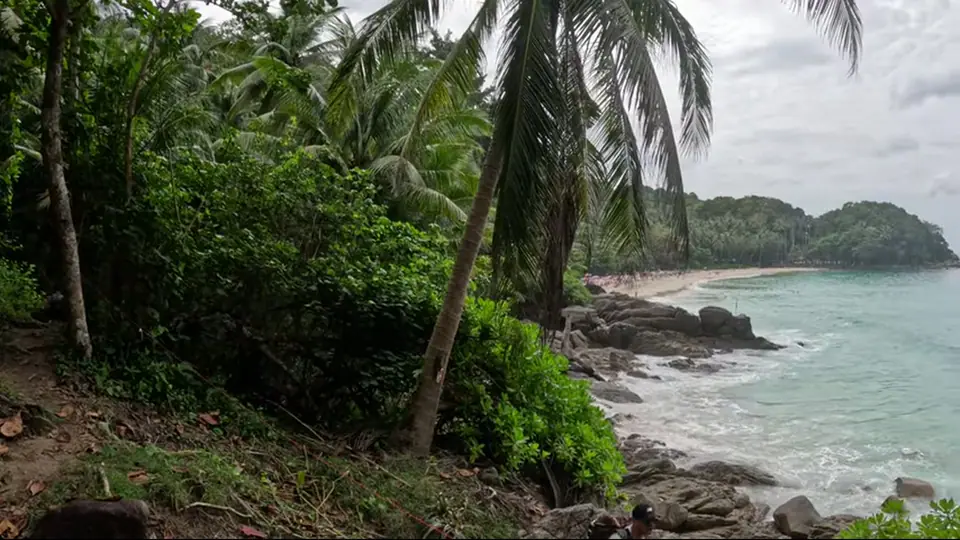 Elevated rocky edge with palms, dense greenery, and hidden turquoise cove.