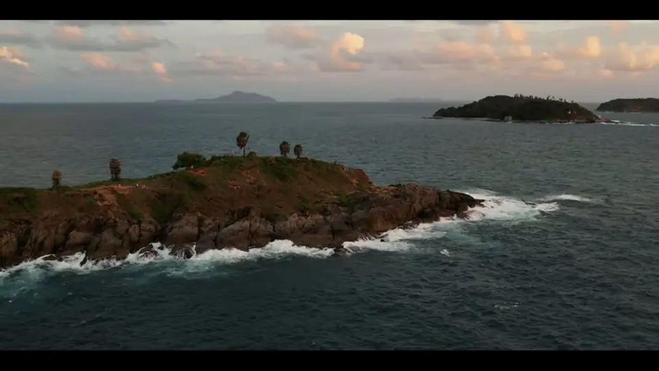 Rocky cape with palms and islands in soft sunset light.