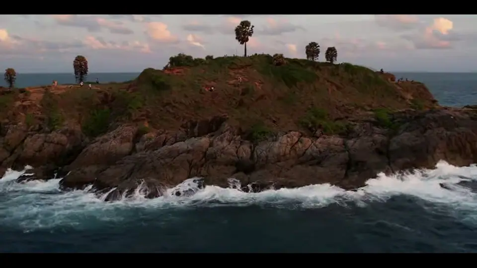 Rocky headland with palms above crashing waves in late light.