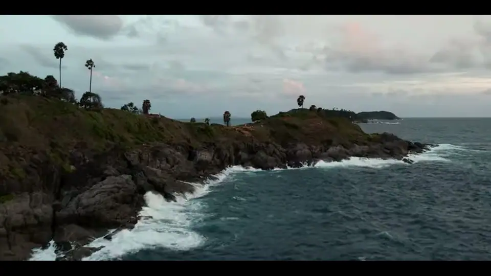 Side view of dark cliffs, palms, and foamy surf.